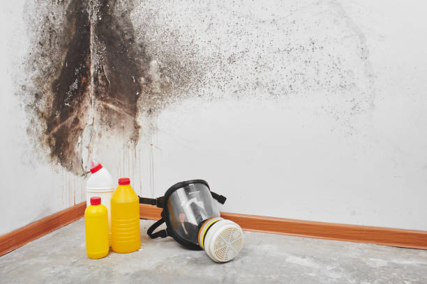 Best Office Mold Removal Services  in Los Banos, CA
