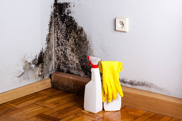 Best Mold Testing  in Los Banos, CA