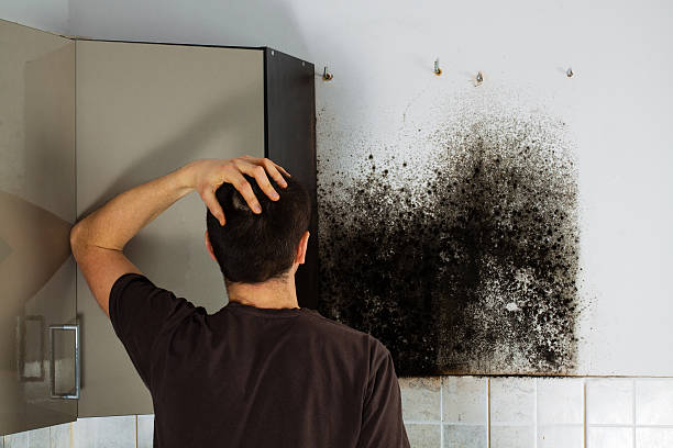Best Home Mold Removal  in Los Banos, CA